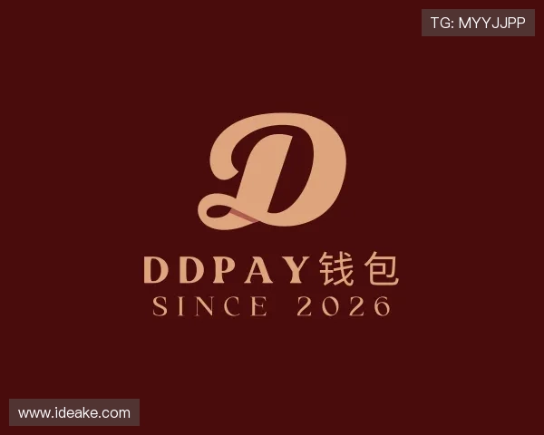 介绍DDpay钱包